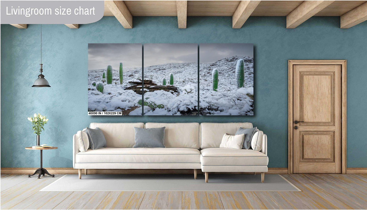 Snow-covered saguaro cacti in Arizona's desert, showcasing a rare winter scene with mountains in the background.