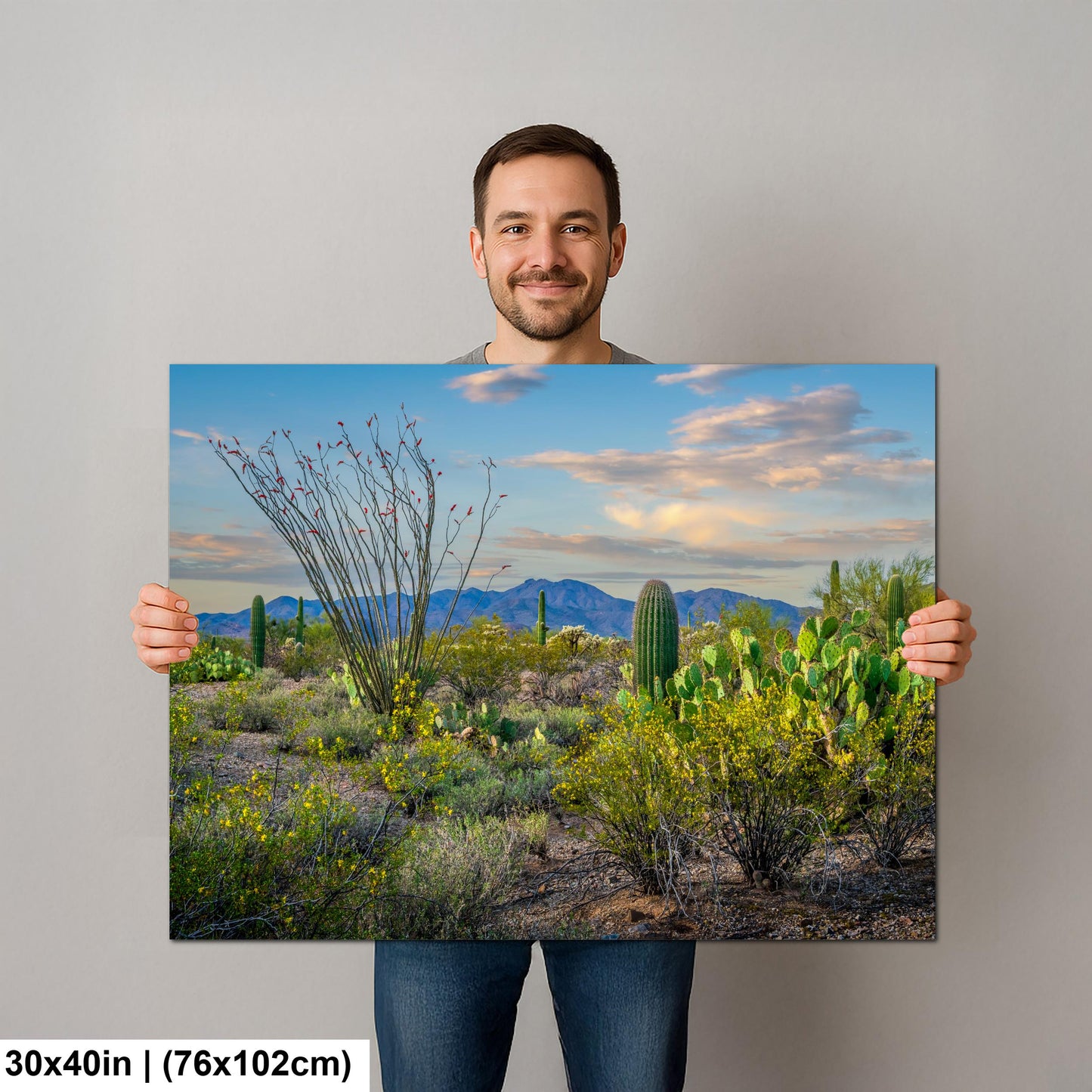 Sonoran Desert Wildflowers with Saguaros Photography Print, Tucson Arizona Landscape, Southwest Wall Art Decor