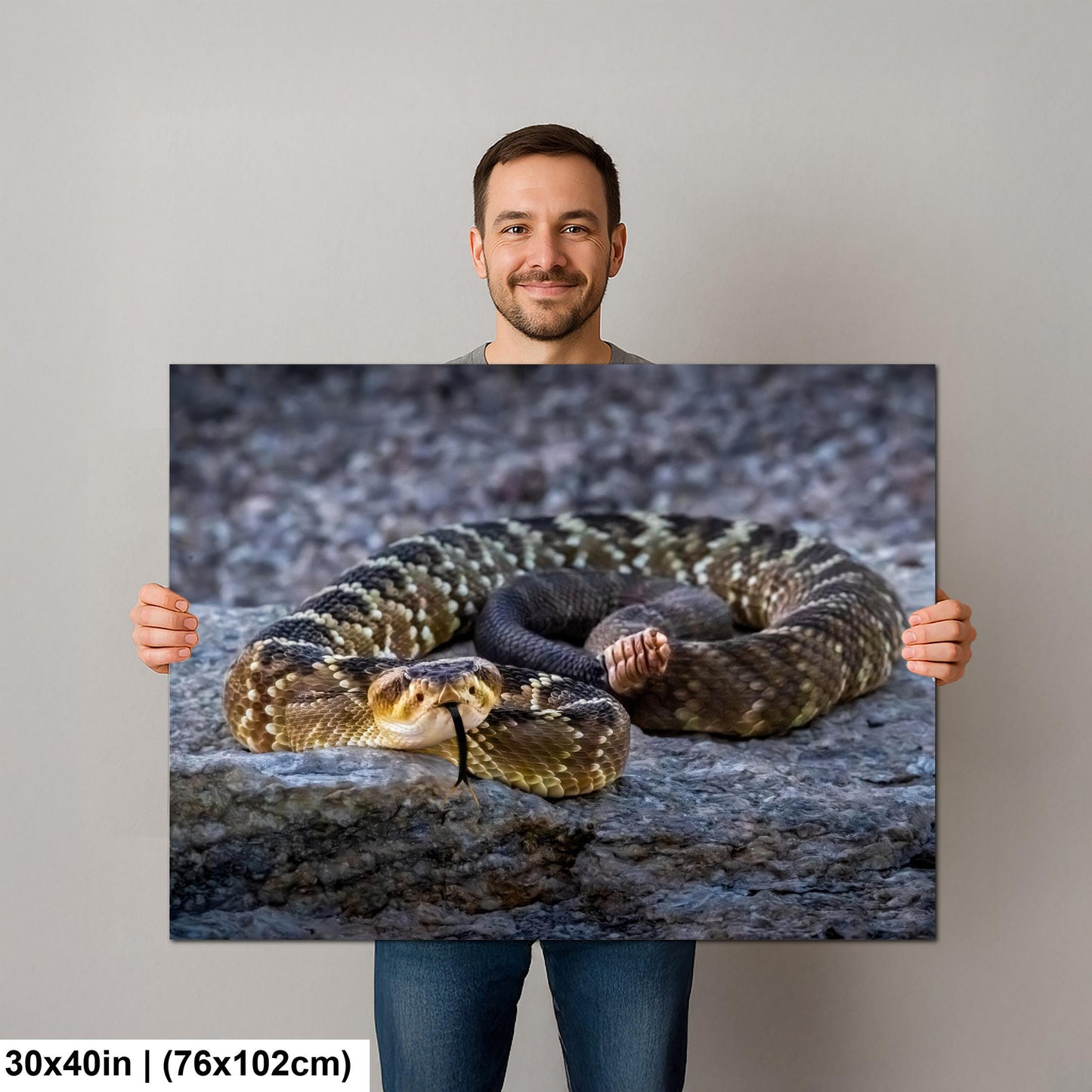 Black-Tailed Rattlesnake Print – Tucson Desert Wildlife Art | Ready to Hang Canvas