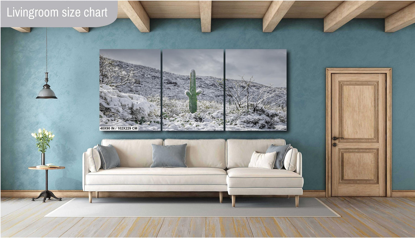 Saguaro Cactus Wall Art - Snowy Desert Print | Winter Sonoran Desert Photography