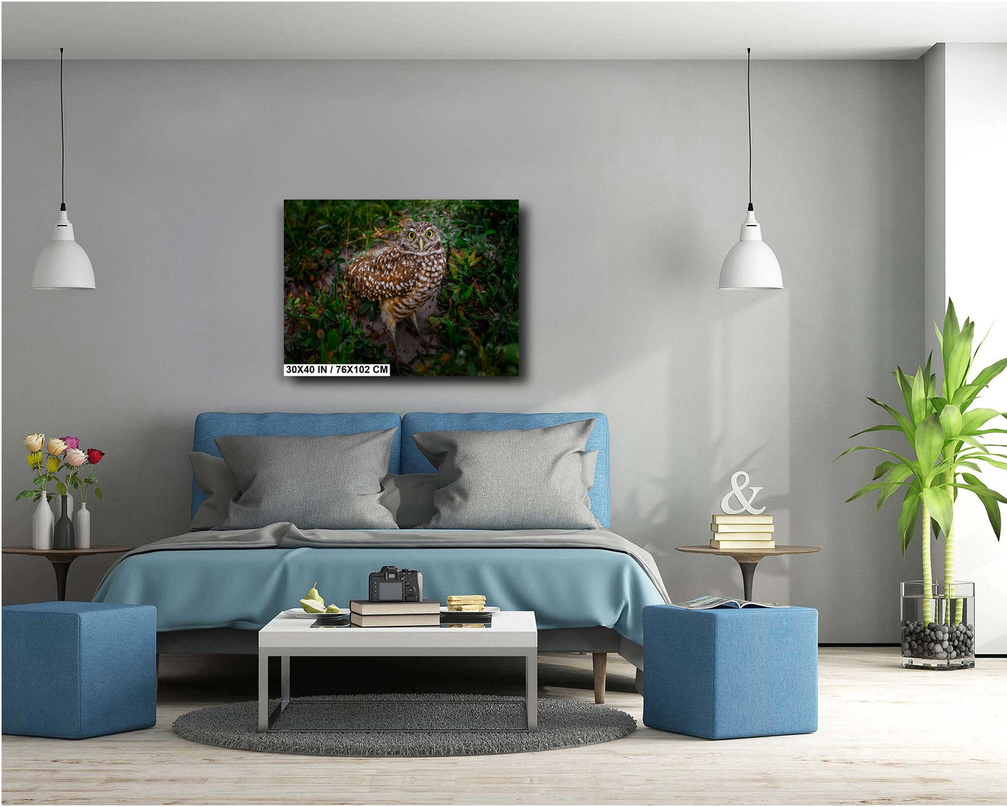 Burrowing Owl with Unblinking Eyes in Cape Coral’s Green Haven The Americas Print Wall Art Photography Aluminum/Acrylic/Metal/Canvas