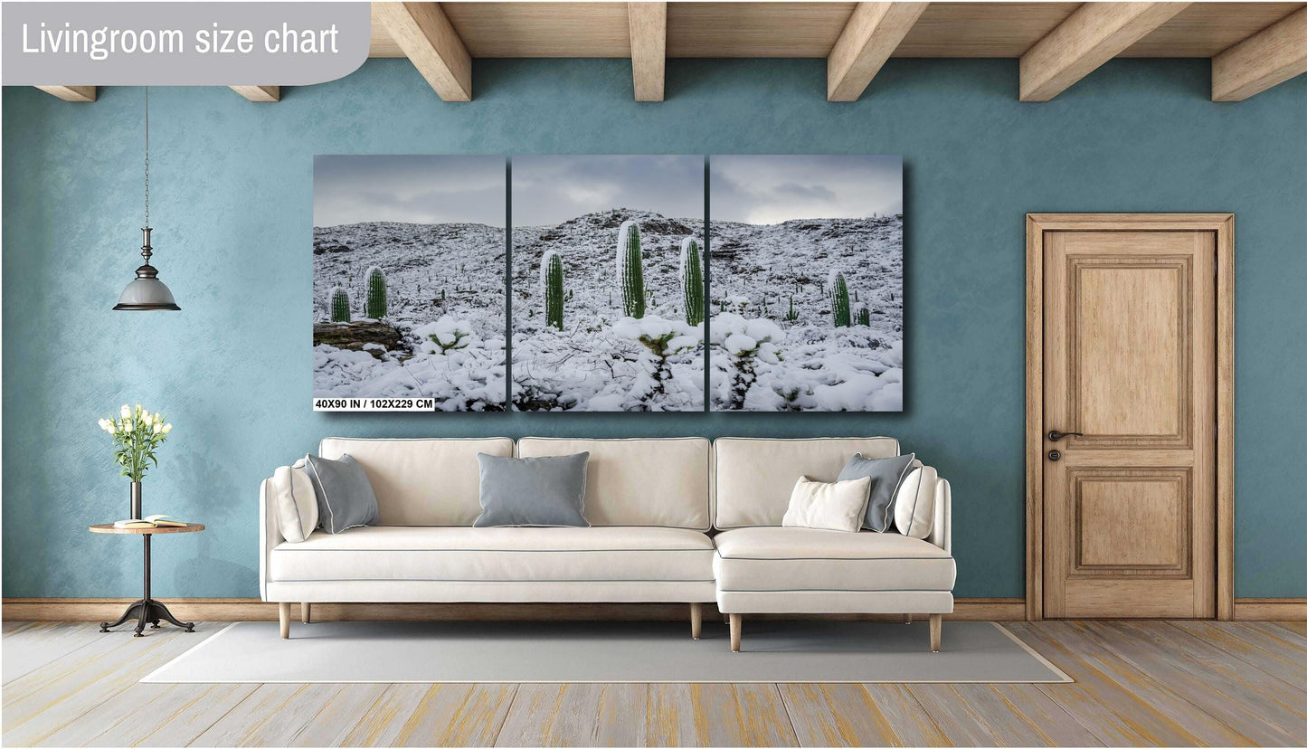 Saguaro National Park Winter Snow Photography Print: Tucson Desert Wall Art