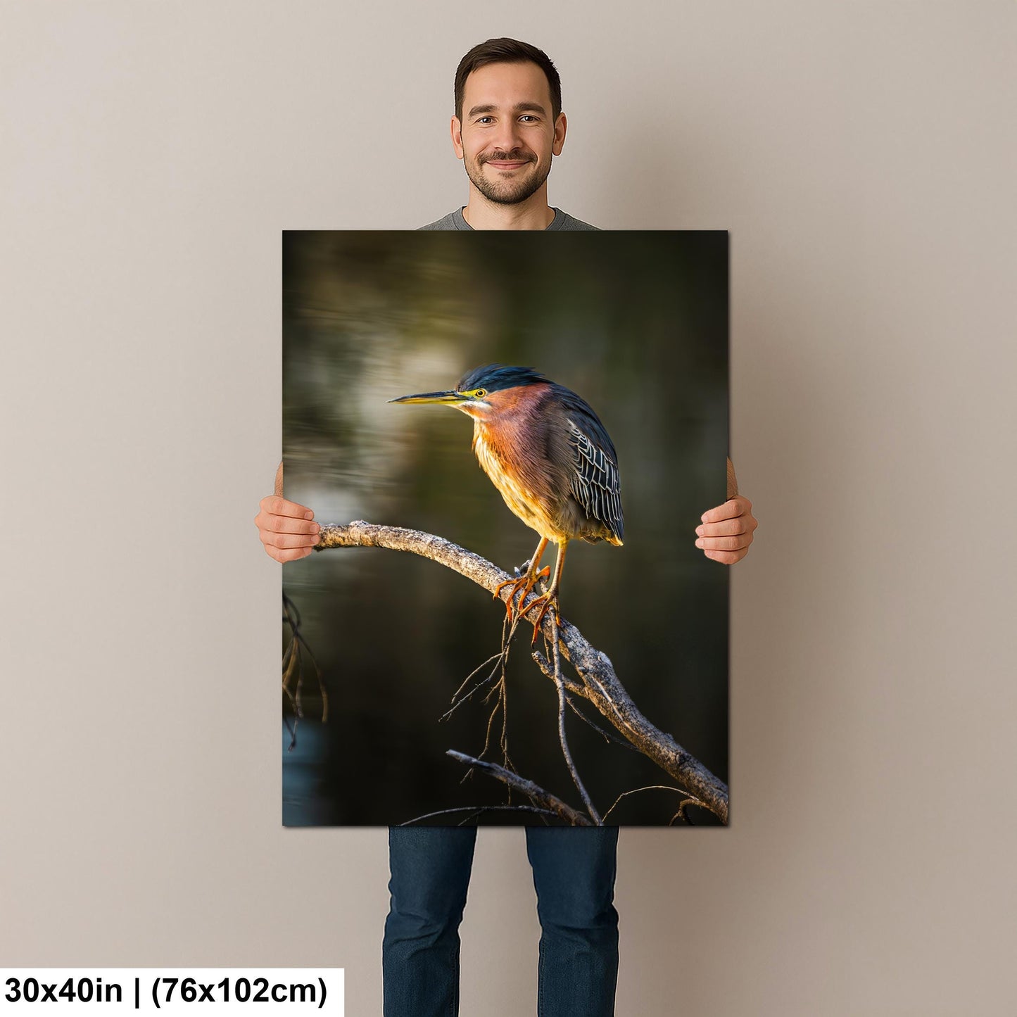 Green Heron Photography Print, Agua Caliente Park Tucson Arizona, Bird Wall Art, Nature Home Decor, Wildlife Gift