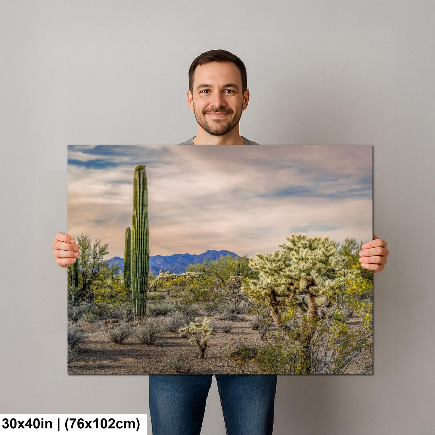Saguaro and Cholla Desert Landscape, Tucson Arizona Photography Print, Southwest Wall Art, Sonoran Desert Decor