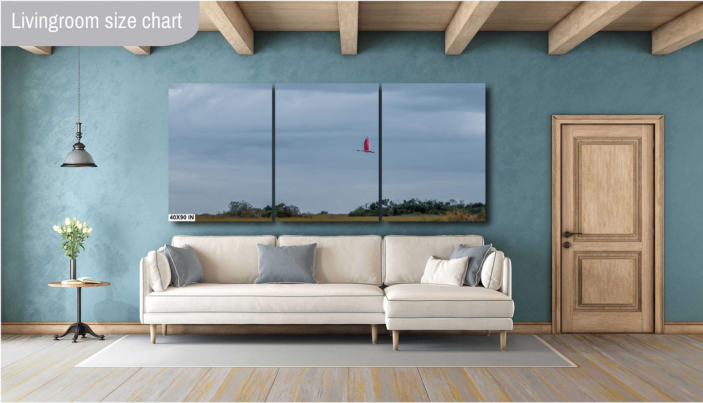 Everglades Roseate Spoonbill In Flight: Everglades National Park Florida Print Wall Art Bird Photography Aluminum/Acrylic/Metal/Canvas