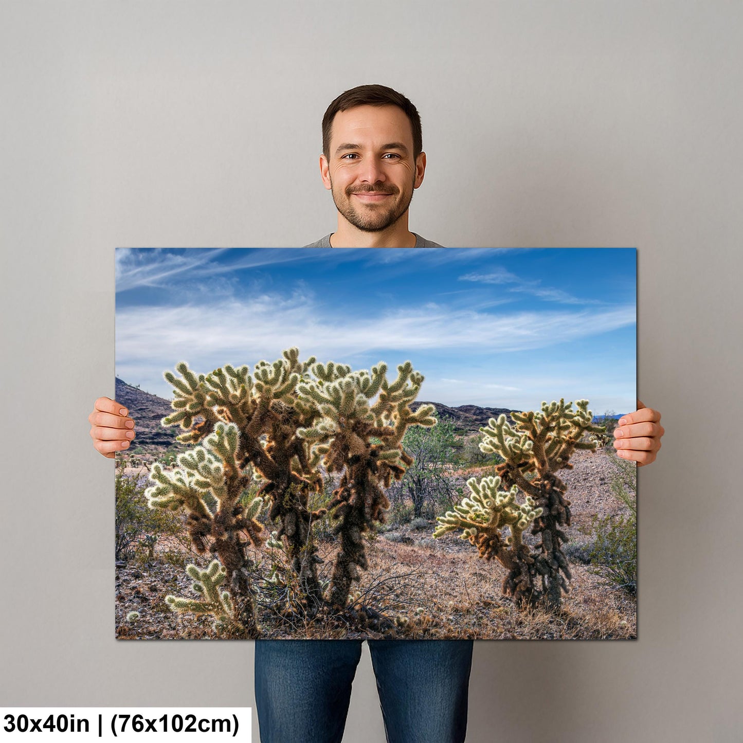 Teddy Bear Cholla Cactus Sonoran Desert Arizona Photography Print, Southwest Wall Art
