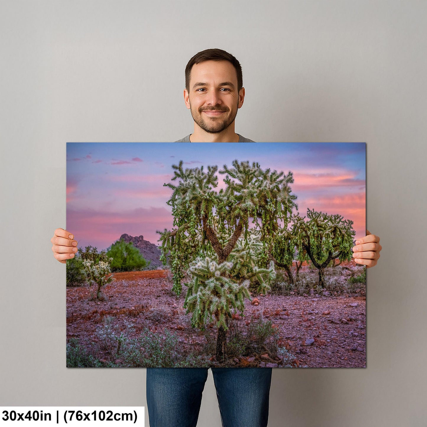 Cholla Cactus Sunset, Lost Dutchman State Park, Apache Junction Arizona Photography Wall Art