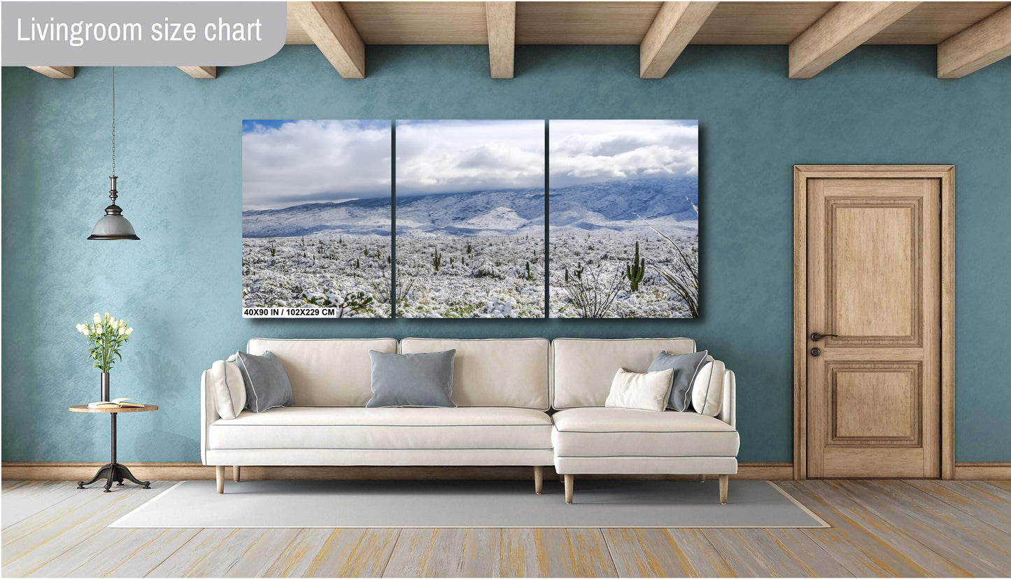 Saguaro National Park Print – Winter Saguaro Desert Wall Art With Snow