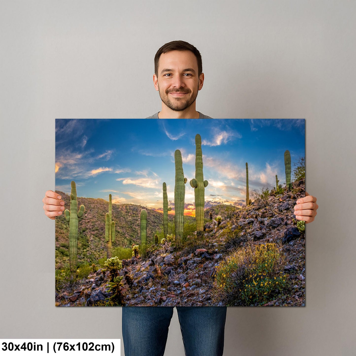 Sonoran Desert Saguaros at Sunset, Casa Grande Arizona Photography Wall Art
