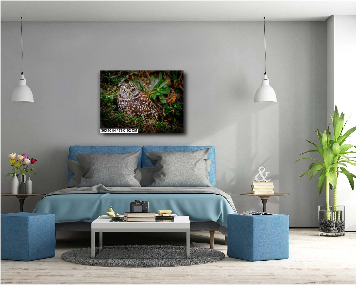 Burrowing Owl with Bright Eyes – The Watchful Guardian of Cape Coral The Americas Print Wall Art Photography Aluminum/Acrylic/Metal/Canvas