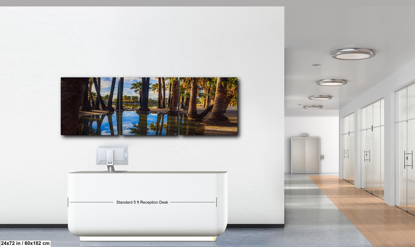 Agua Caliente Park Palm Tree Oasis Reflections - Tucson Arizona Photography Print