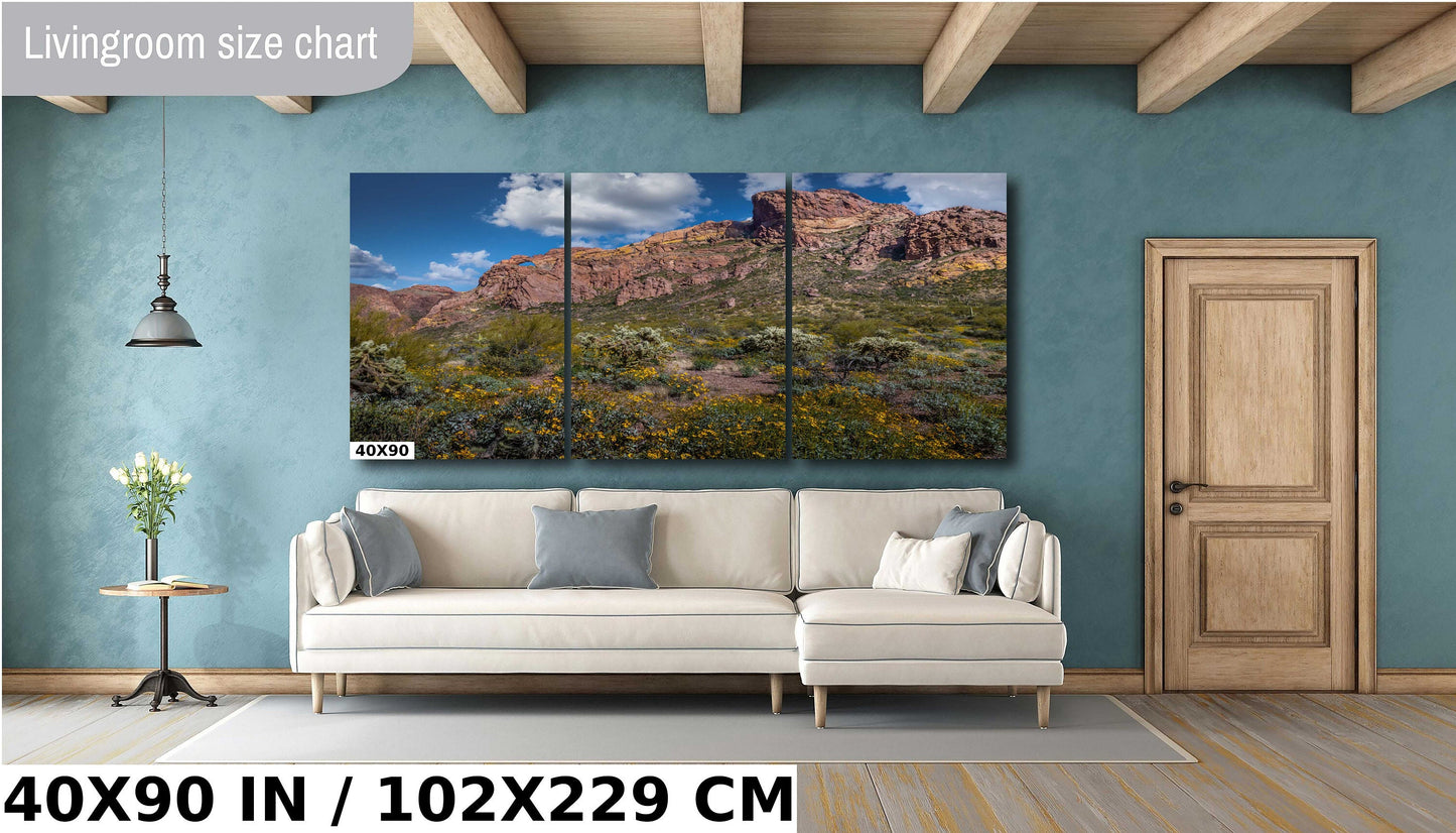 Organ Pipe Cactus National Monument Giant Rock and Wildflowers Wall Art Arizona Desert Landscape