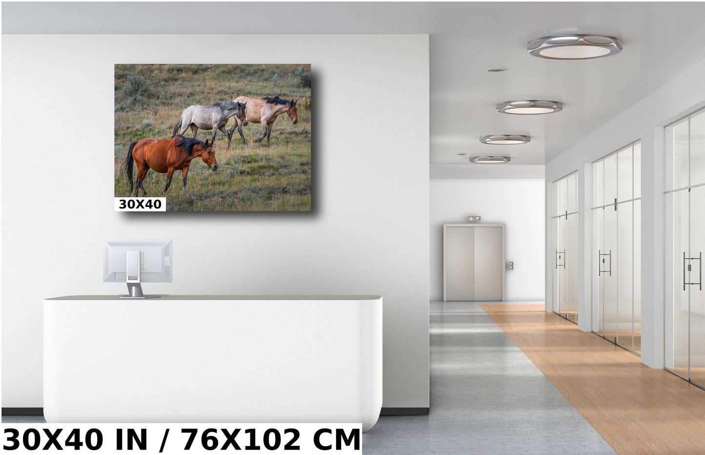 Prairie Trio: Horses in Perfect Step at Theodore Roosevelt Park National Park Metal Acrylic Print North Dakota Wall Art