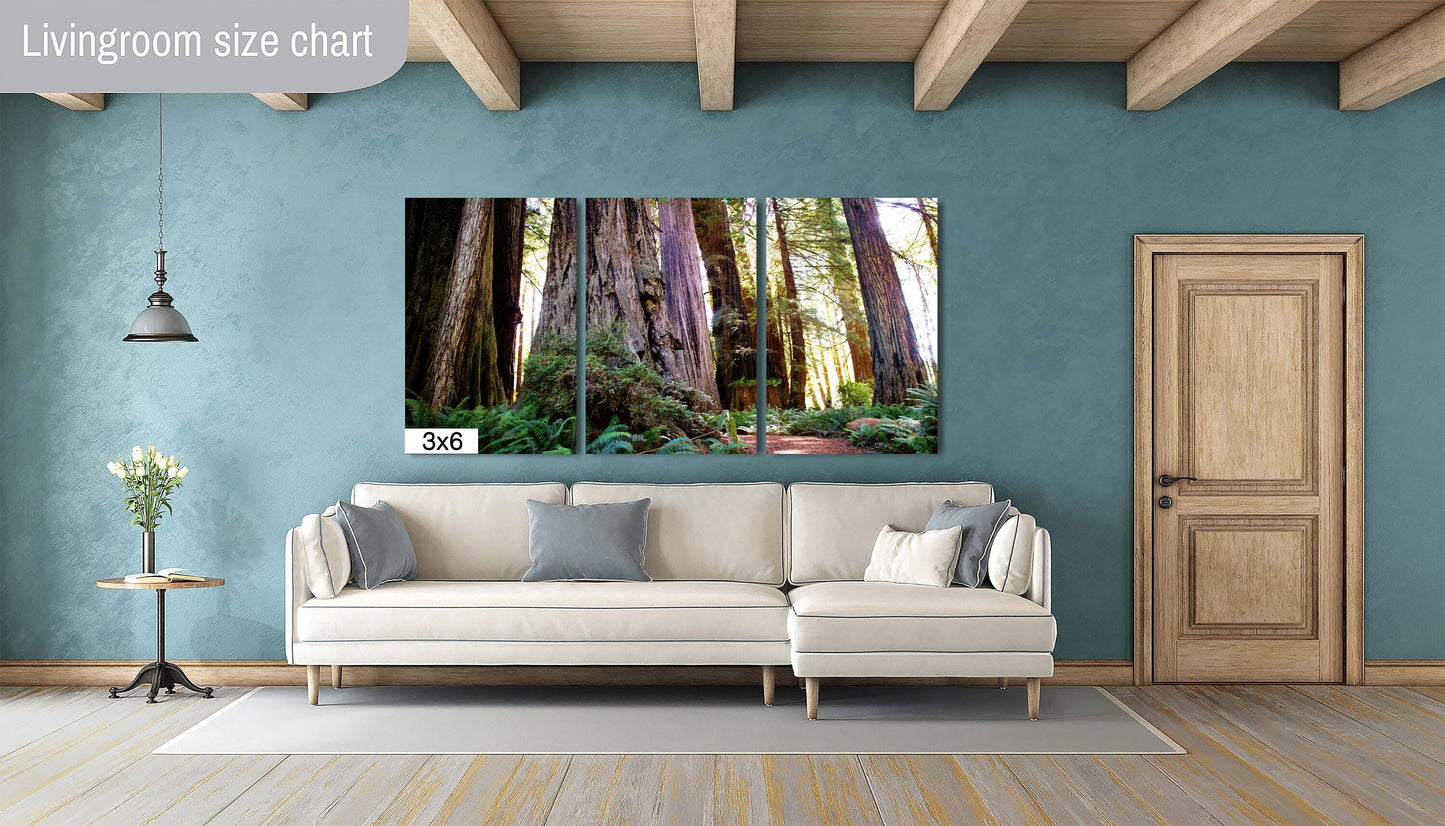 Forest Cathedral: Redwood Giants Wall Sequoia National Park Photography California