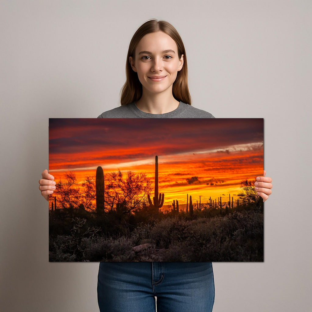Gold Canyon Sunset Silhouettes, Hieroglyphic Trail Arizona Saguaro Cactus Desert Wall Art