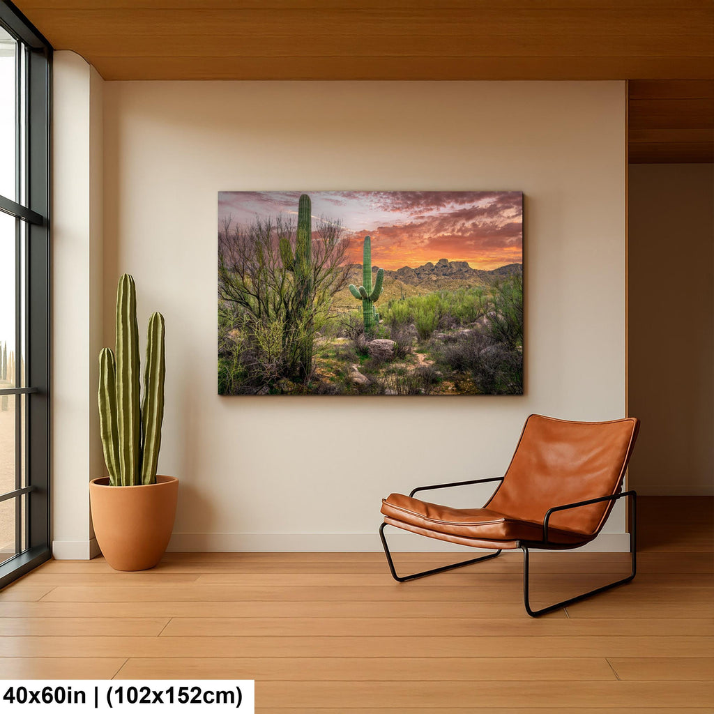 Sonoran Desert Sunset with Saguaros - Catalina State Park Tucson Arizona Photography Print