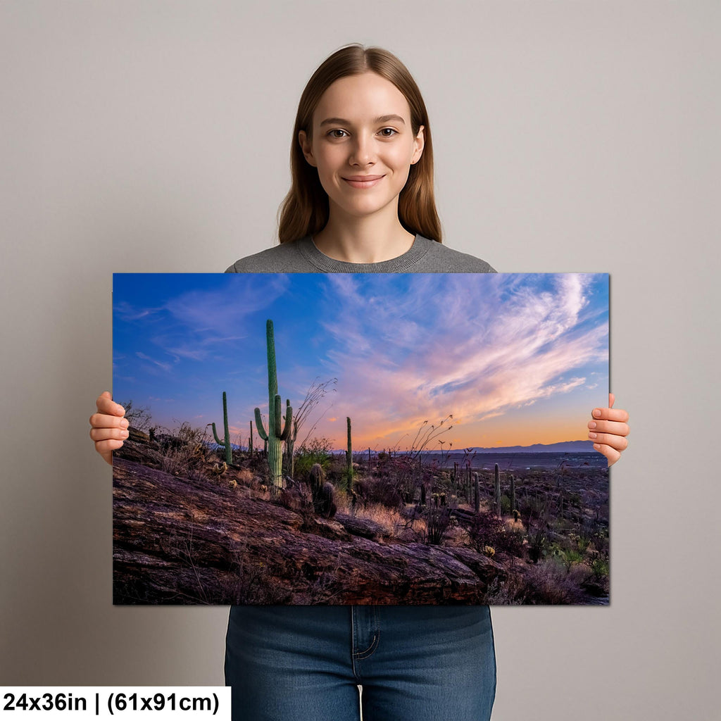 Rocky Sonoran Desert Hillside Sunset with Saguaros - Saguaro National Park East Tucson Photography Print
