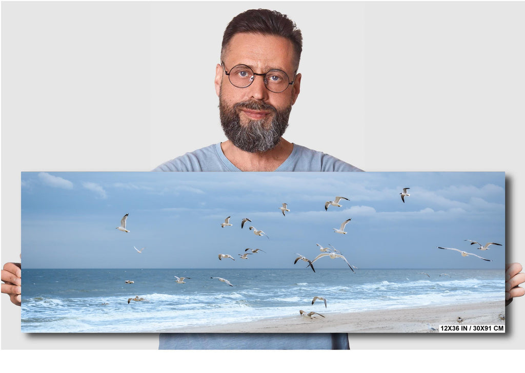 Seagulls Over Quiet Amelia Island Coastal Beach Florida Print Wall Art Photography Aluminum/Acrylic/Metal/Canvas Seascape Wildlife Decor