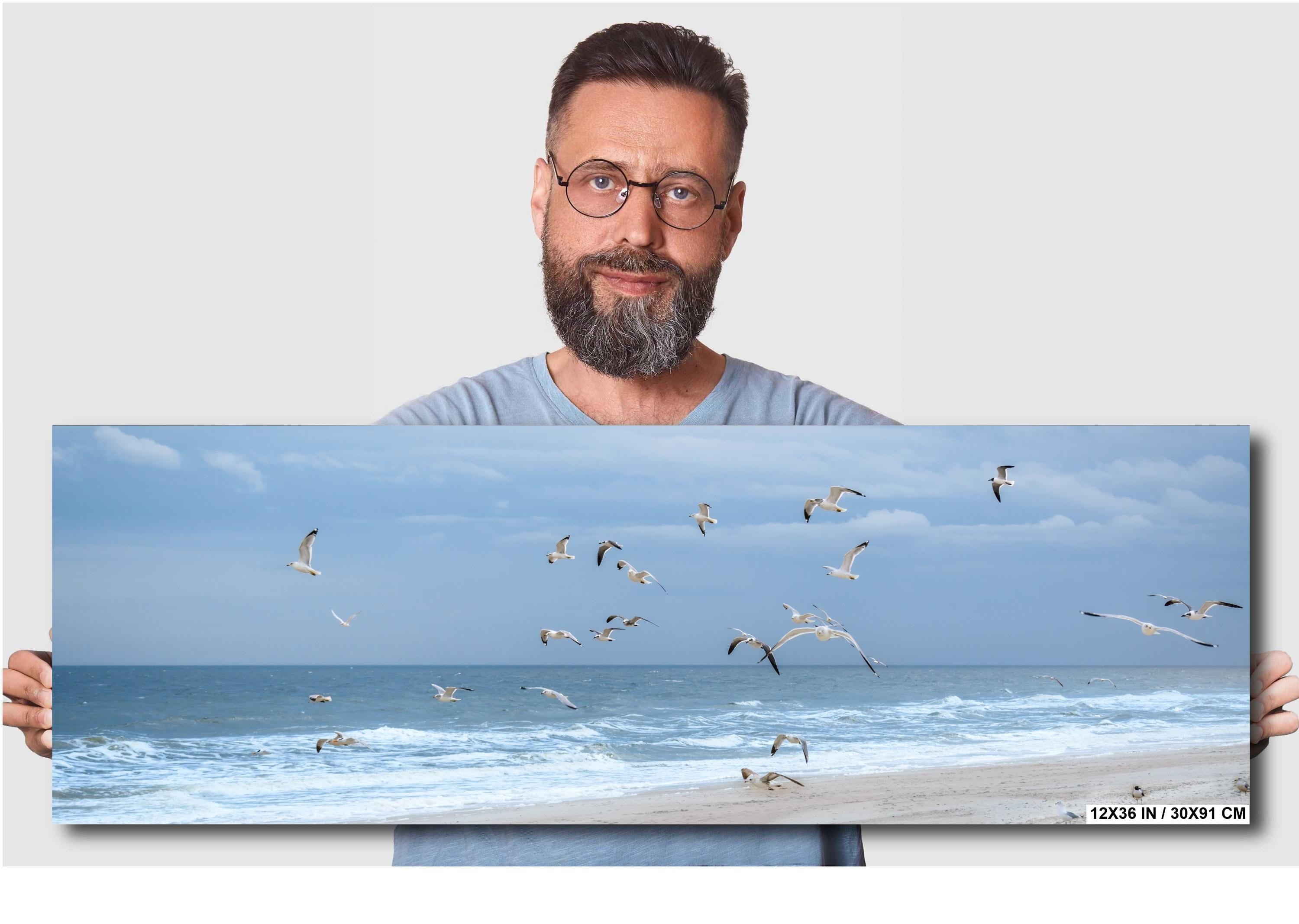 Seagulls Over Quiet Amelia Island Coastal Beach Florida Print Wall Art Photography Aluminum/Acrylic/Metal/Canvas Seascape Wildlife Decor