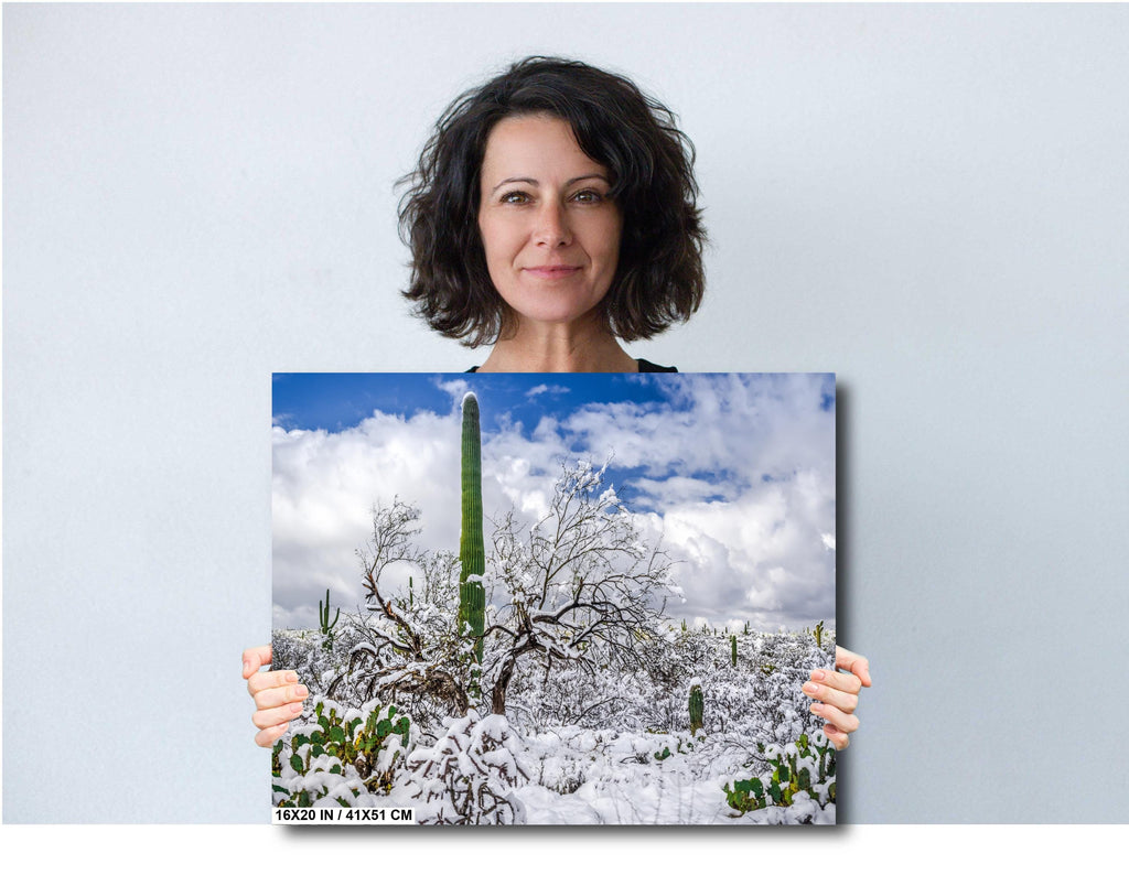 Saguaro Desert Wall Art – Winter Cactus Print | Tucson Arizona Snow Scene Decor