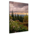 Mountain Bouquet: Great Smoky Mountains Tennessee Wildflower Photo Wall Art