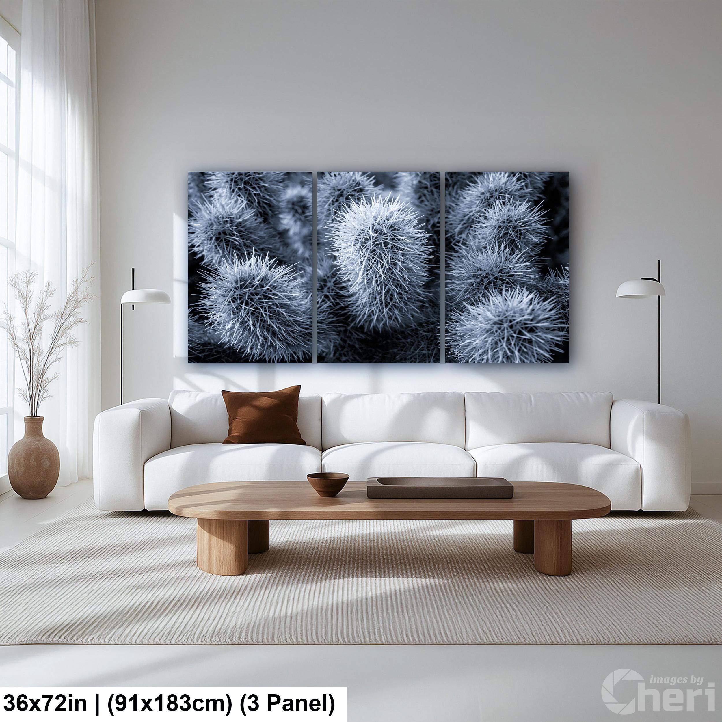 Cholla Cactus Spines Black and White - Saguaro National Park East Tucson Photography Print