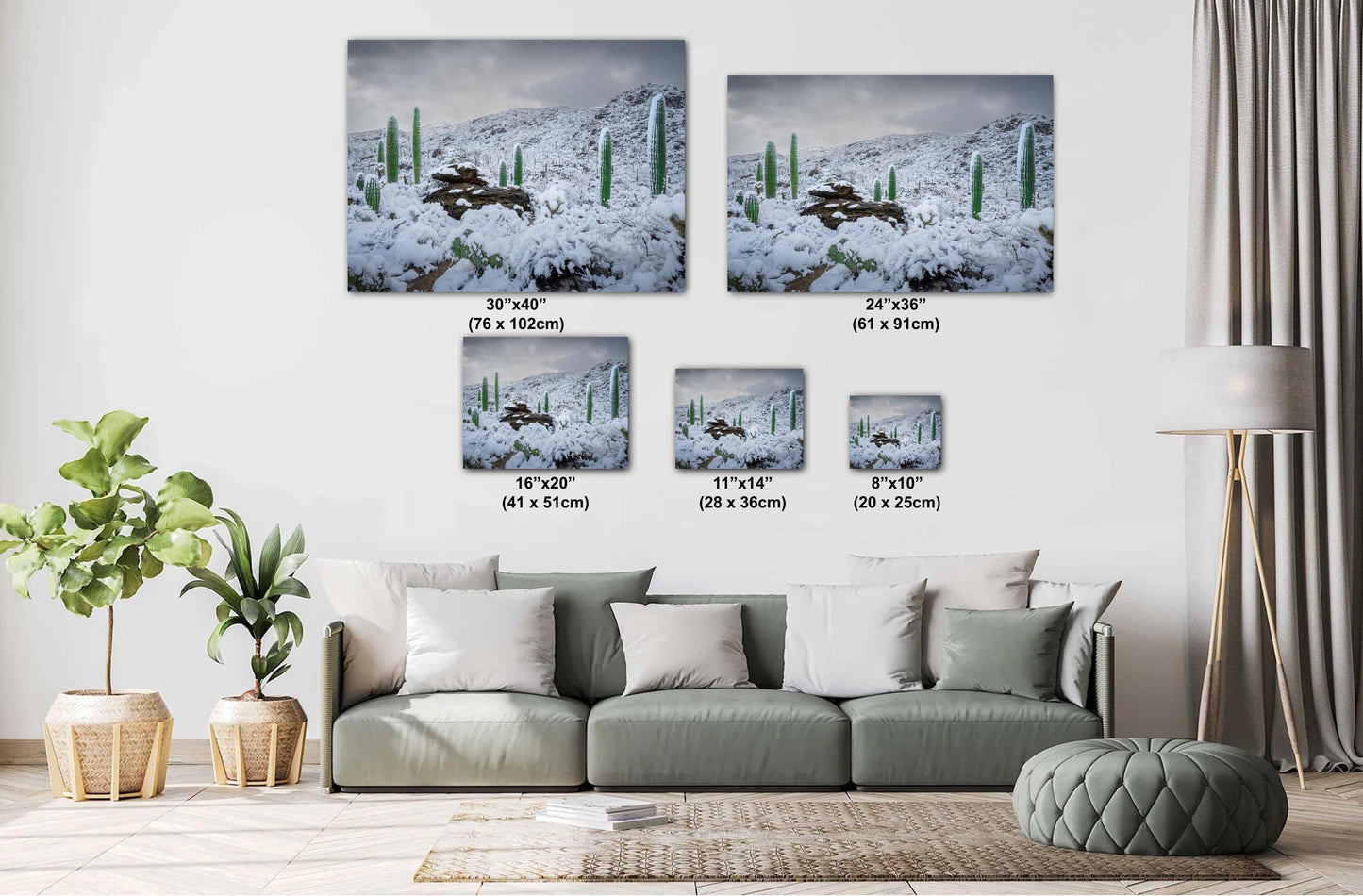 Snow-covered saguaro cacti in Arizona's desert, showcasing a rare winter scene with mountains in the background.