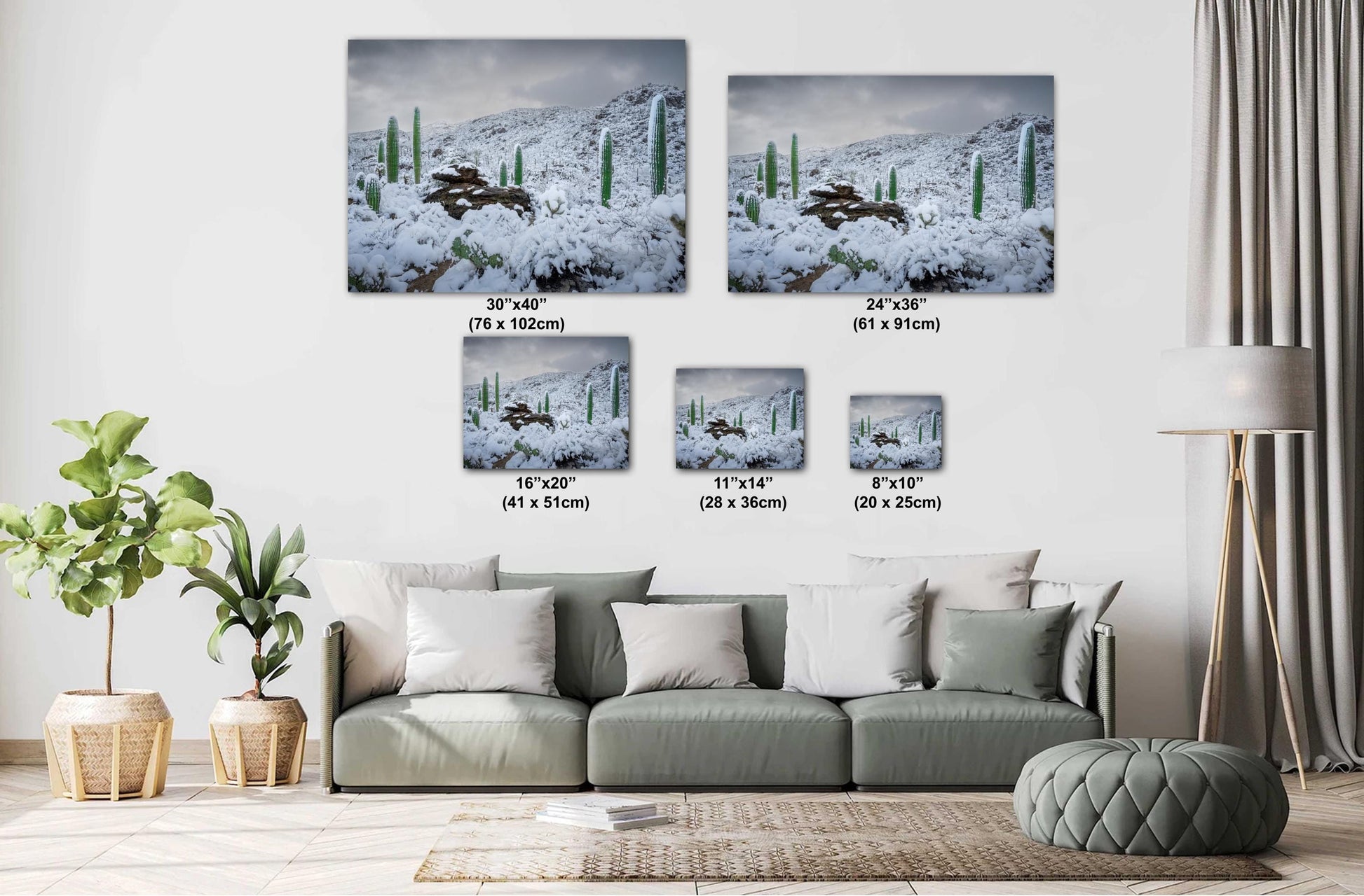 Snow-covered saguaro cacti in Arizona's desert, showcasing a rare winter scene with mountains in the background.