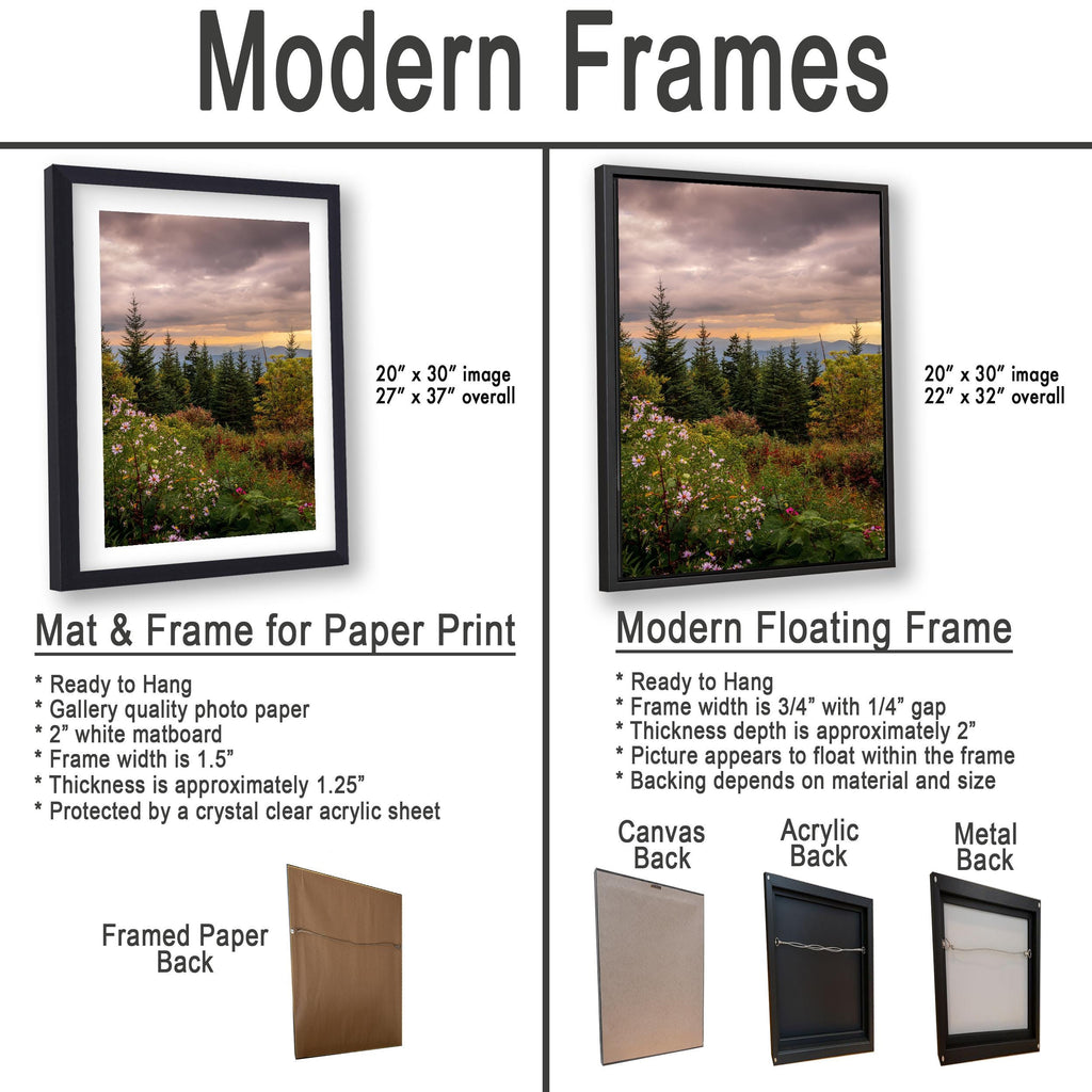 Mountain Bouquet: Great Smoky Mountains Tennessee Wildflower Photo Wall Art
