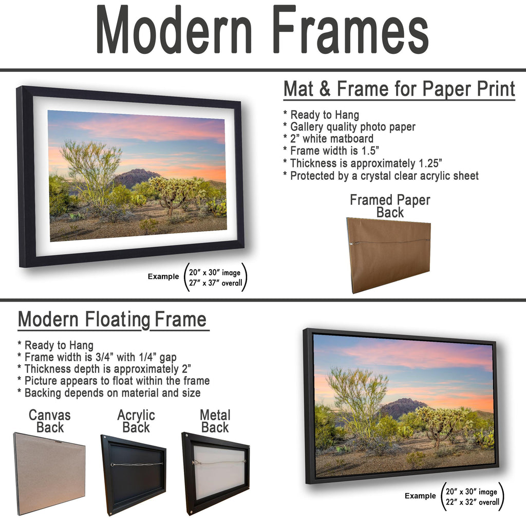 Cholla Cactus Sunset with Mountain View, Tucson Arizona Photography Print