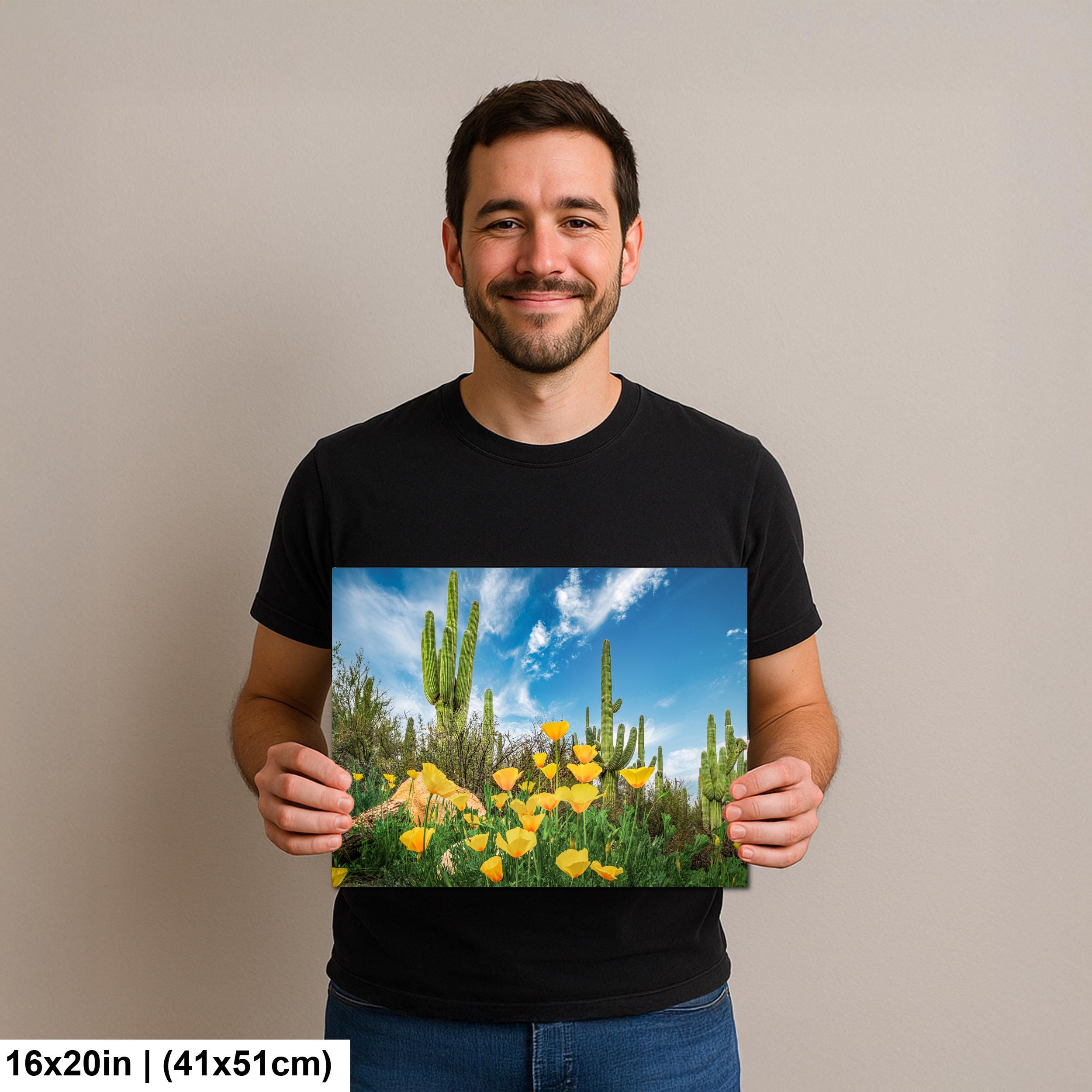 Sonoran Desert Yellow Poppies with Saguaros - Catalina State Park Tucson Arizona Photography Print