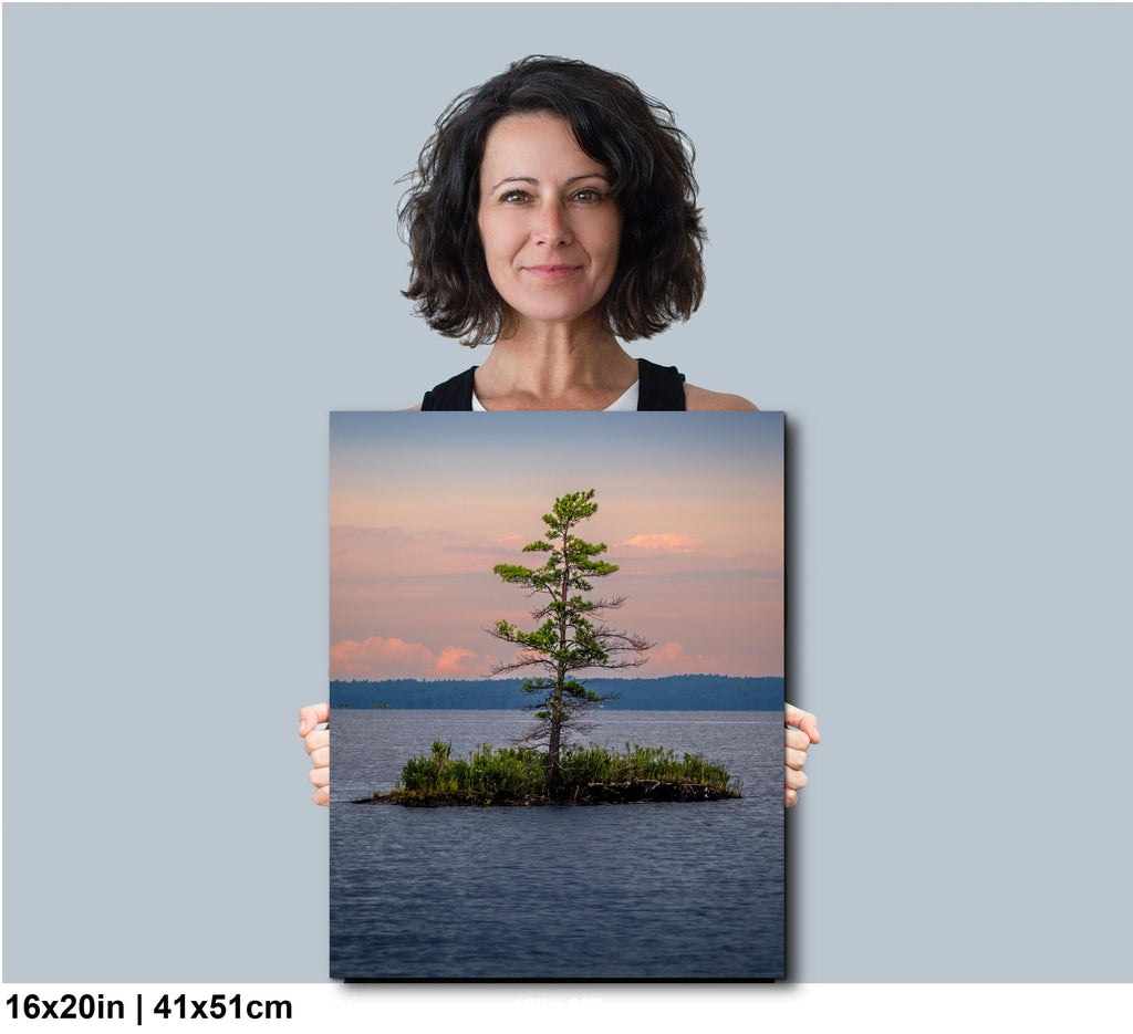 Woman holding a photograph of a tree on an island with a sunset background