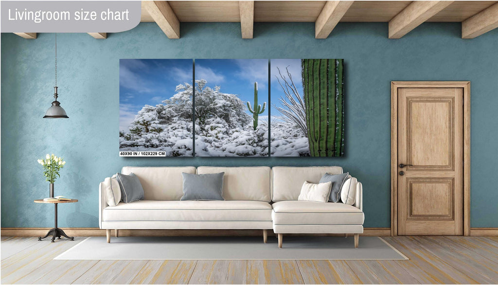 The White Desert: Snowfall in Saguaro National Park Tucson Arizona