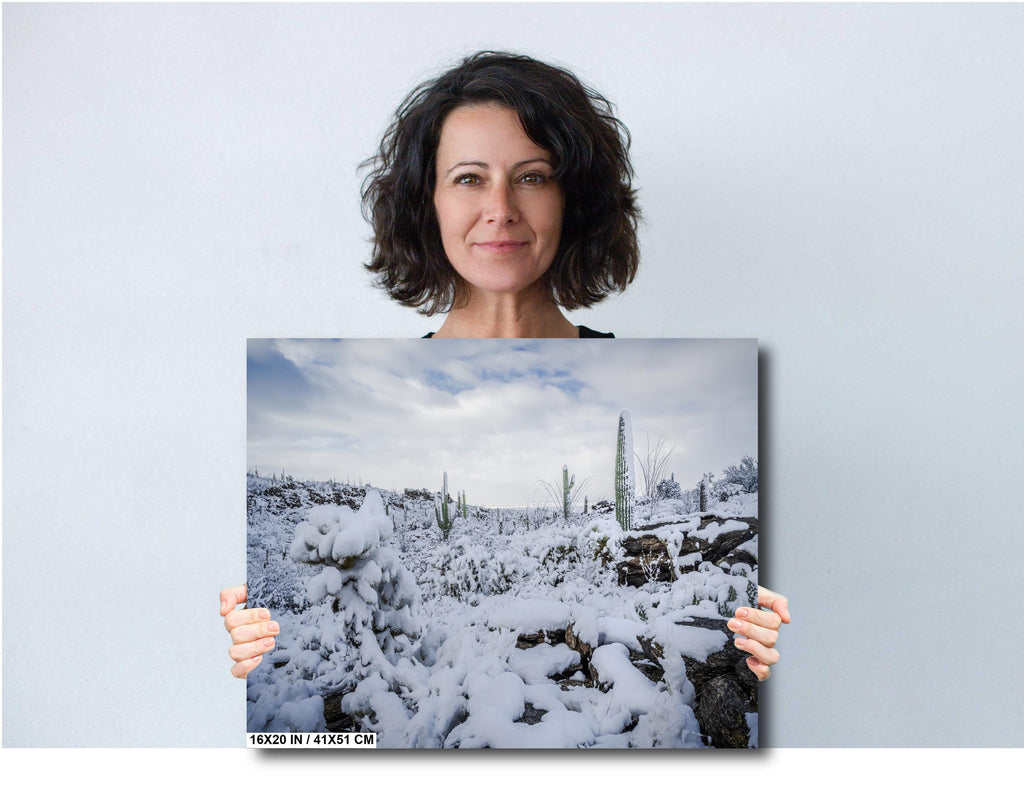 Saguaro Cactus Wall Art – Snowy Desert Photography | Winter Cactus Print Decor