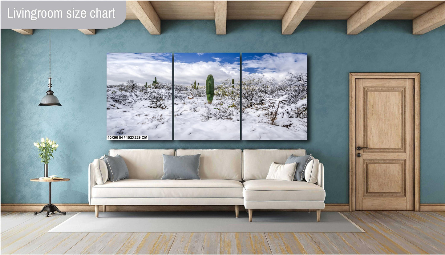 Saguaro National Park Print – Desert Wall Art | Winter Cactus Art in Tucson Arizona