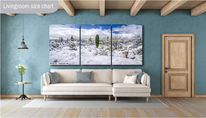 Saguaro National Park Print – Desert Wall Art | Winter Cactus Art in Tucson Arizona