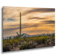 Sonoran Desert Sunset with Saguaro Cactus and Wildflowers Tucson Arizona Photography Print