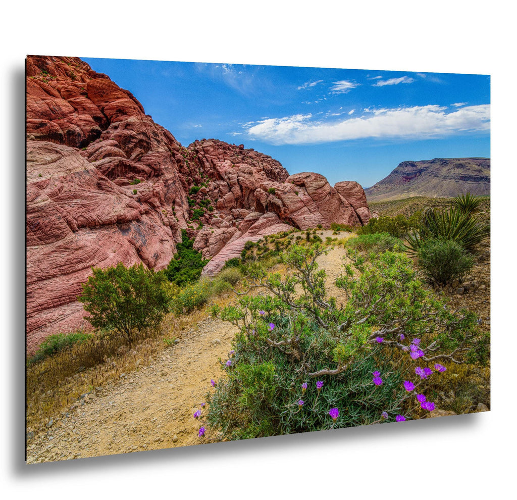 Wildflower Trail: Red Rock Canyon Las Vegas Nevada Photography Wall Art