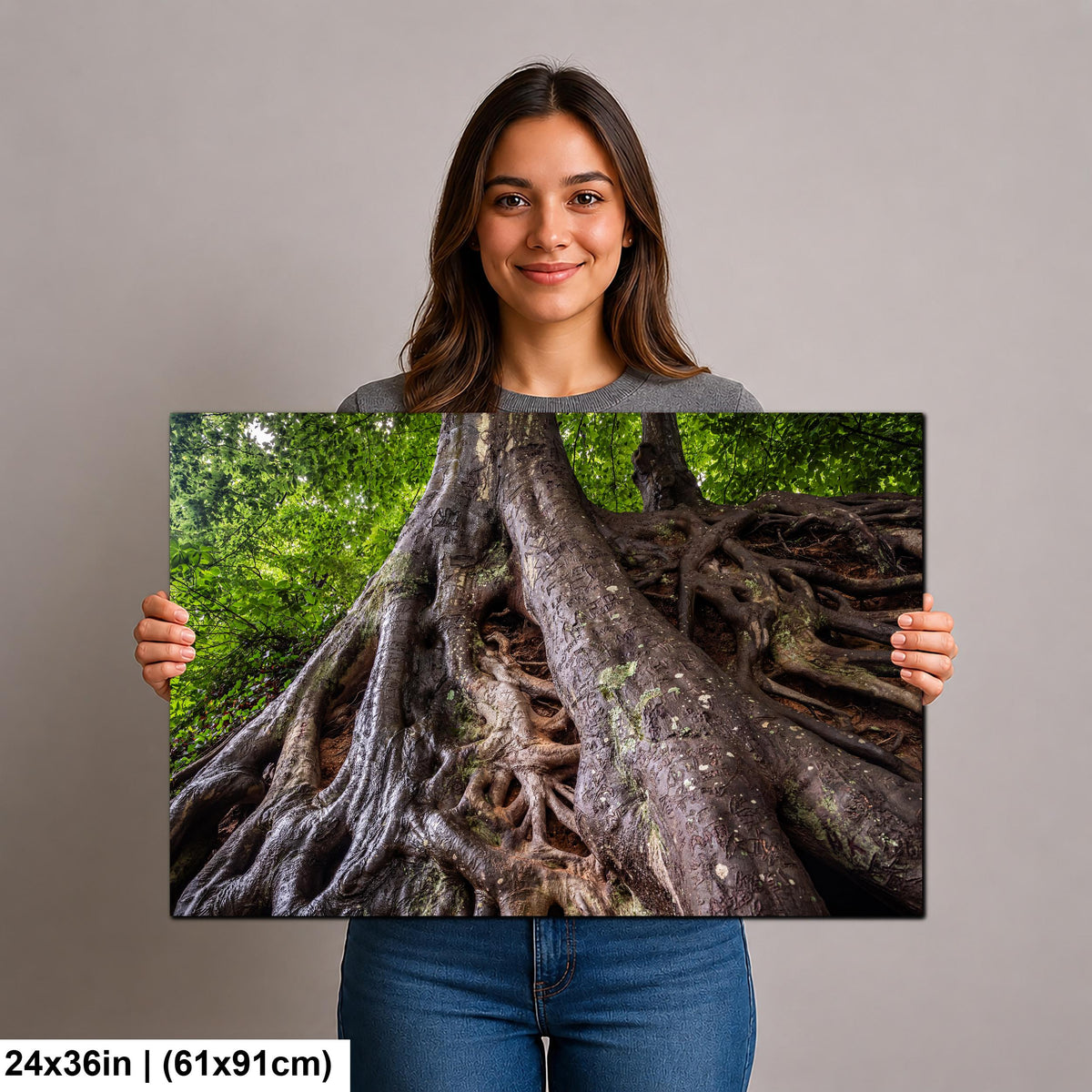 Tangled Roots: Medusa Tree Falls Park Greenville SC Nature Photo Wall Art