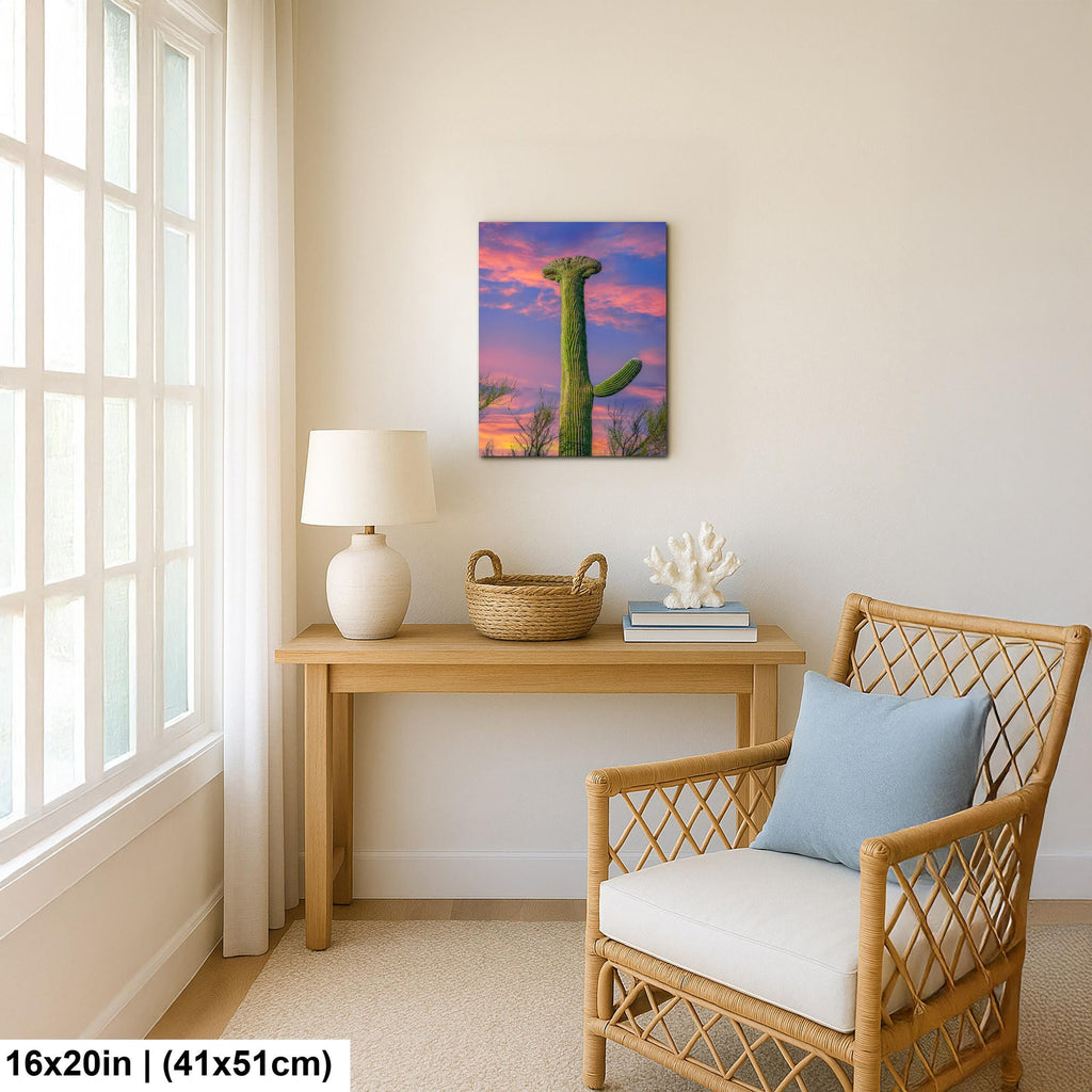 Crested Saguaro Cactus at Sunset - Saguaro National Park East Tucson Photography Print