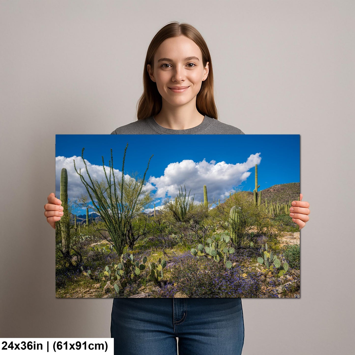 Sonoran Desert Spring Wildflowers with Saguaros - Sabino Canyon Tucson Arizona Photography Print