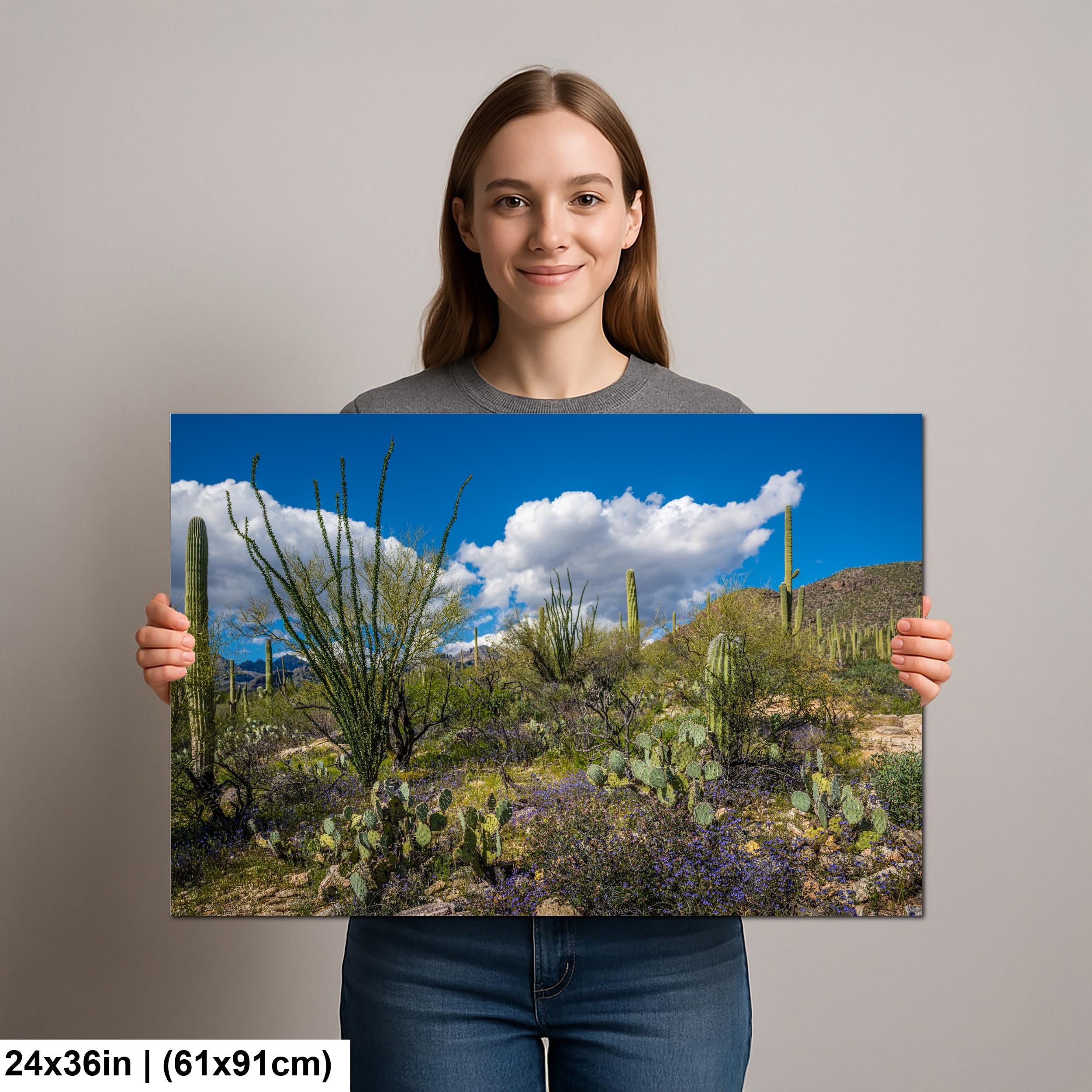 Sonoran Desert Spring Wildflowers with Saguaros - Sabino Canyon Tucson Arizona Photography Print