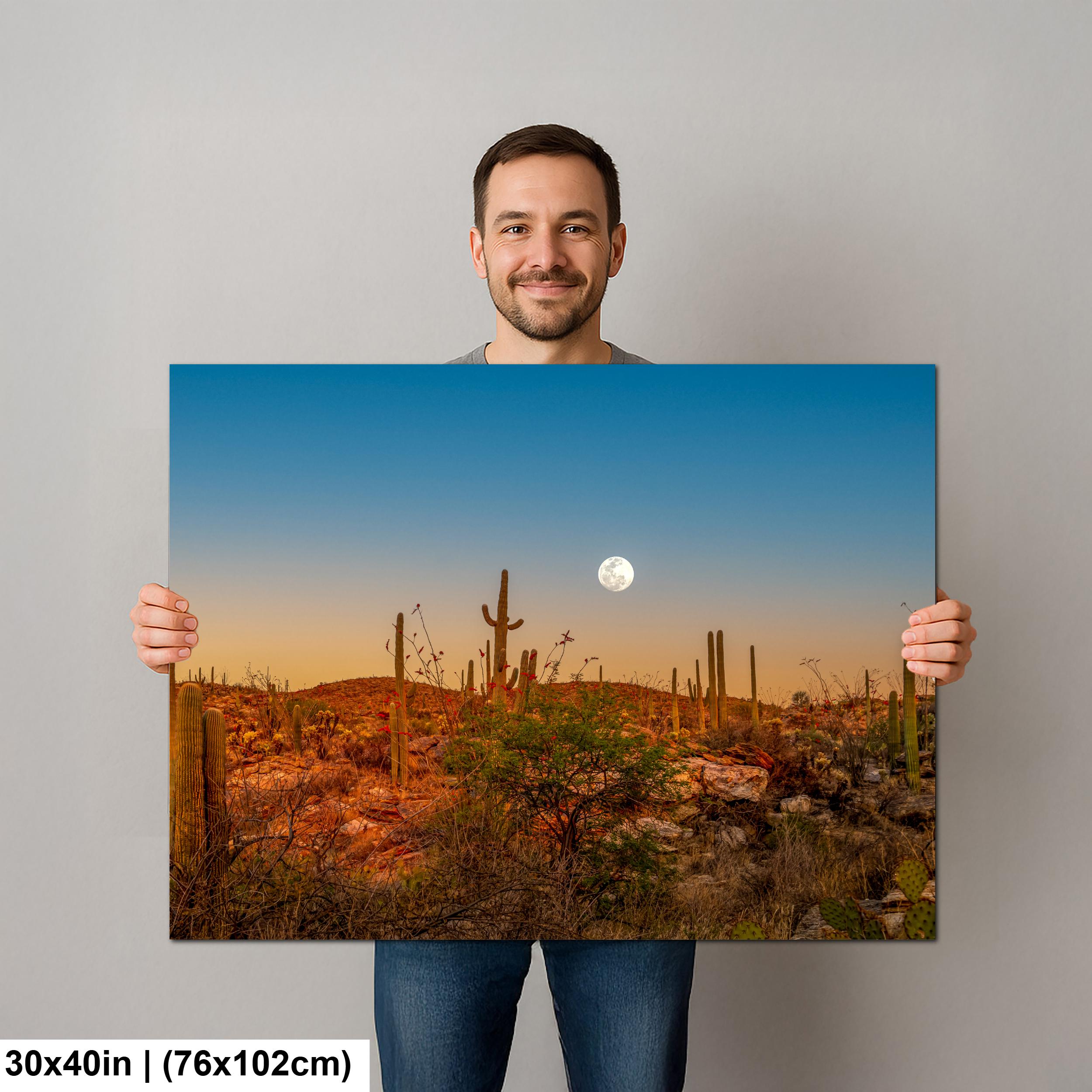 Full Moon Over Saguaro National Park East Photography Print, Tucson Arizona Desert Landscape, Southwest Wall Art
