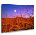 Sonoran Desert Full Moon Print – Saguaros, Ocotillo, Twilight Sky Photography Wall Art