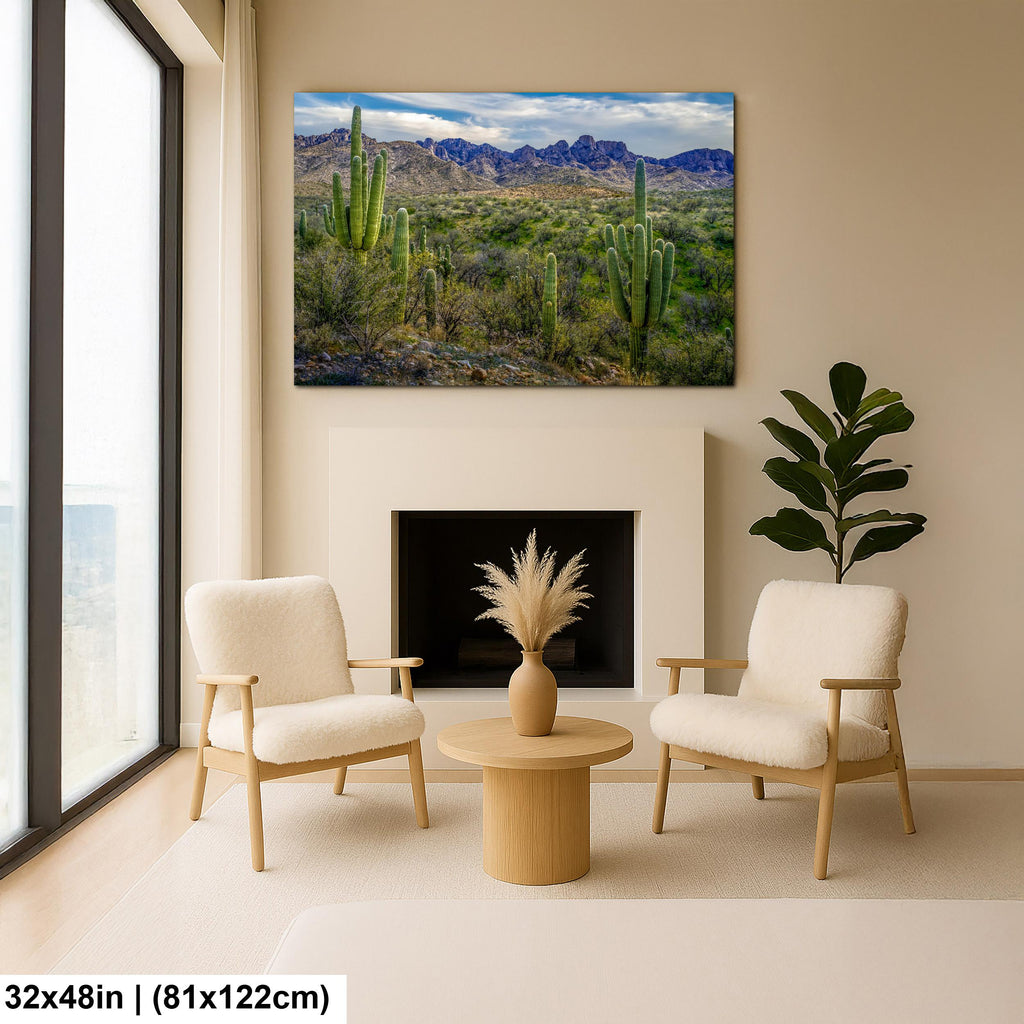 Sonoran Desert Landscape with Saguaros and Mountain Ridge - Tucson Arizona Photography Print