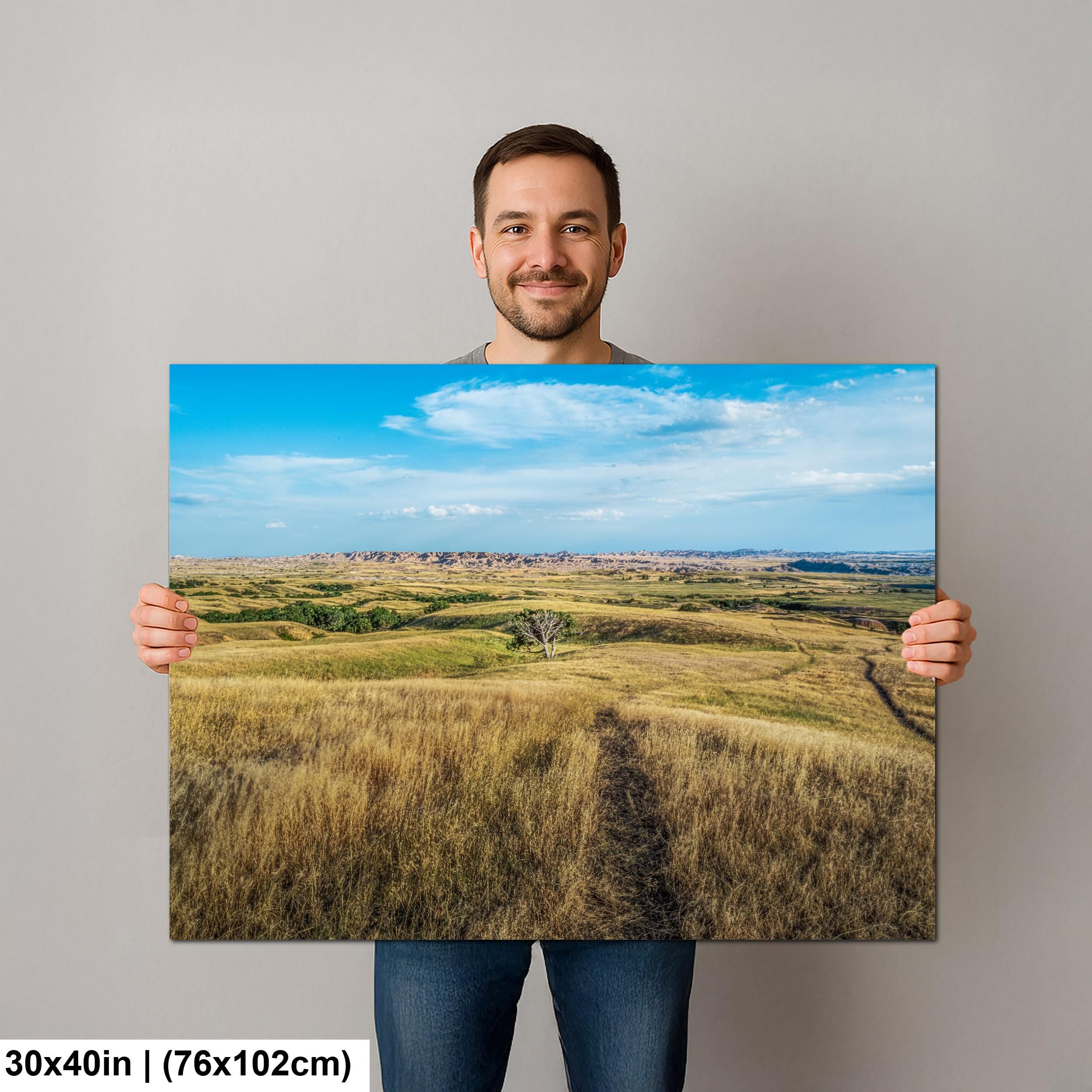 Solitary Prairie Tree Badlands National Park South Dakota Photography Print, Lone Tree Golden Grasslands Wall Art