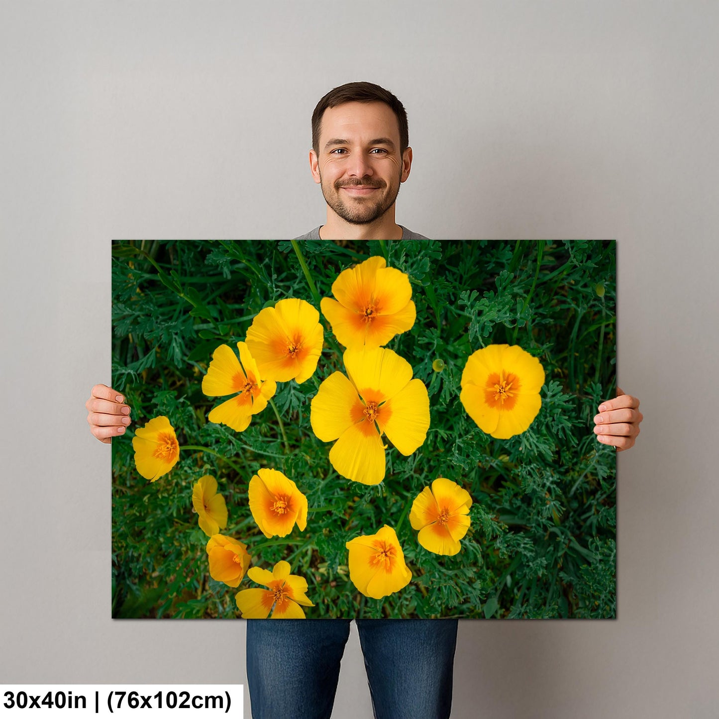 California Poppy Flowers in Bloom - Sonoran Desert Arizona - Tucson Catalina State Park Photography Print