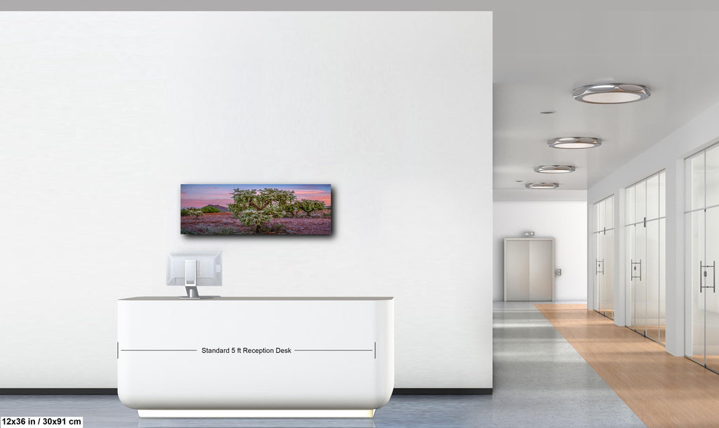 Cholla Cactus Sunset, Lost Dutchman State Park, Apache Junction Arizona Photography Wall Art
