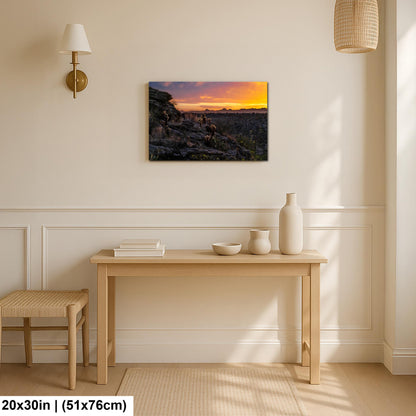 Sonoran Desert Sunset with Cholla and Saguaros - Casa Grande Arizona Photography Print