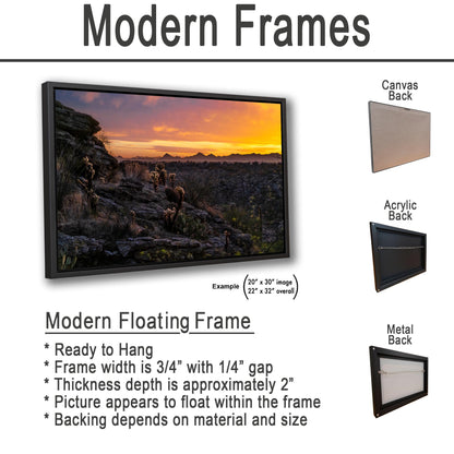 Sonoran Desert Sunset with Cholla and Saguaros - Casa Grande Arizona Photography Print